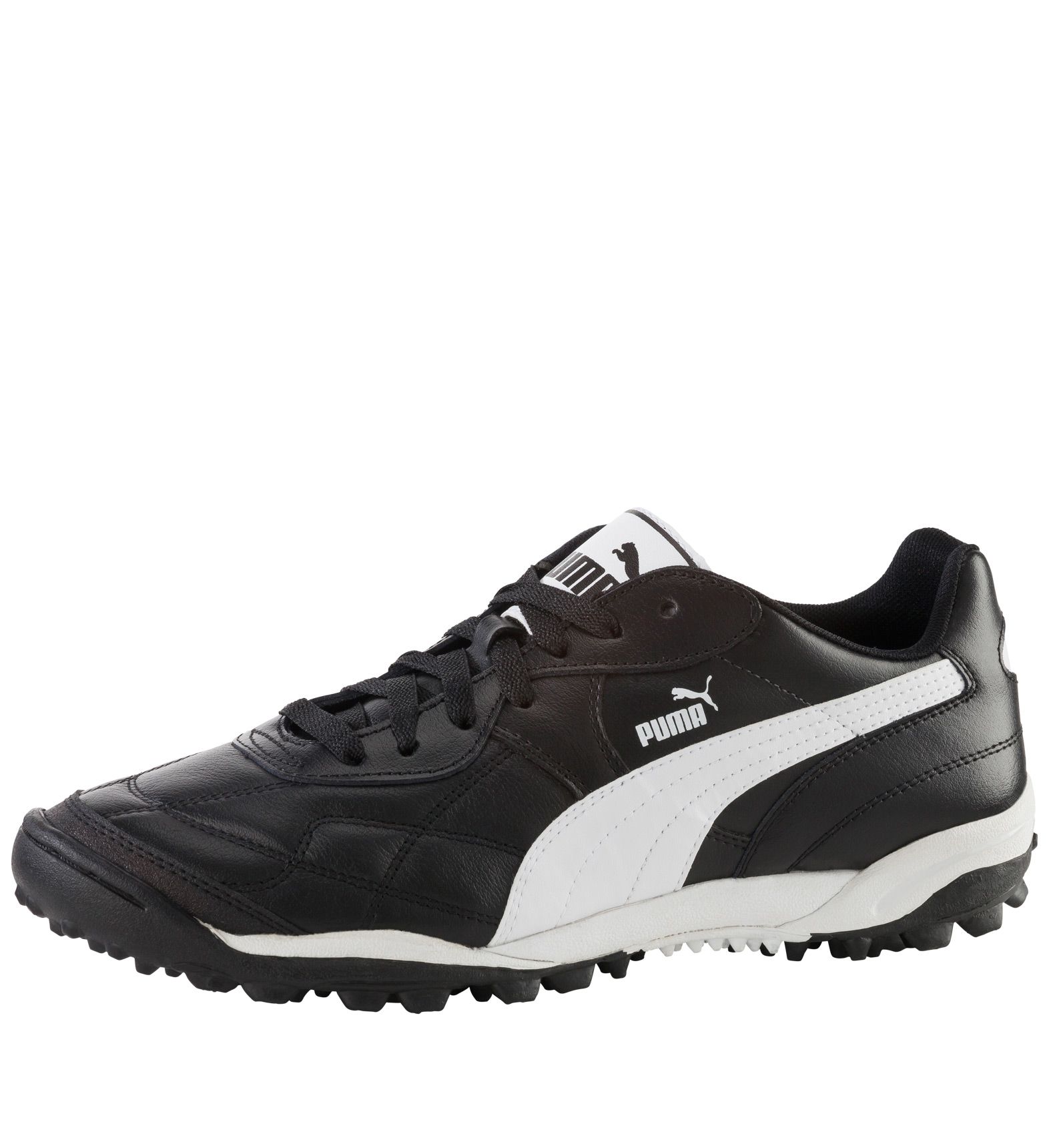 puma esito tt