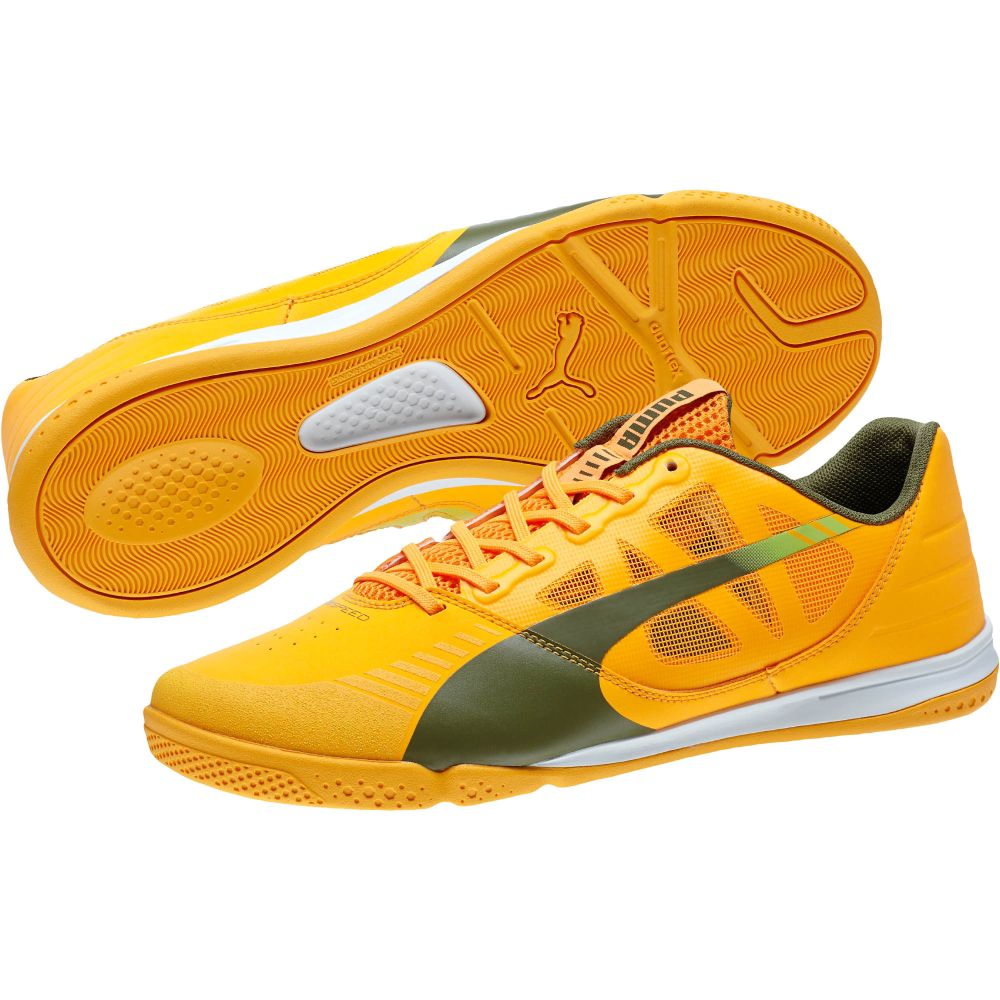 futsal puma evospeed