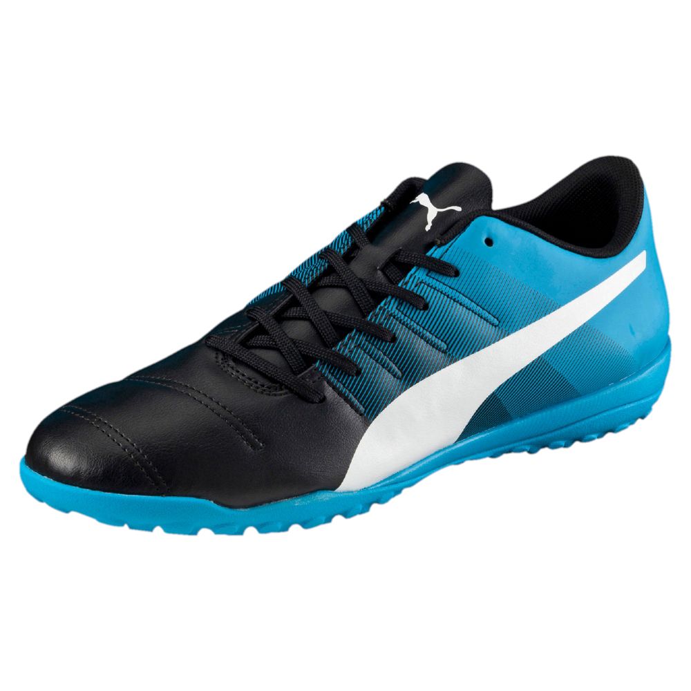 evopower 4.3