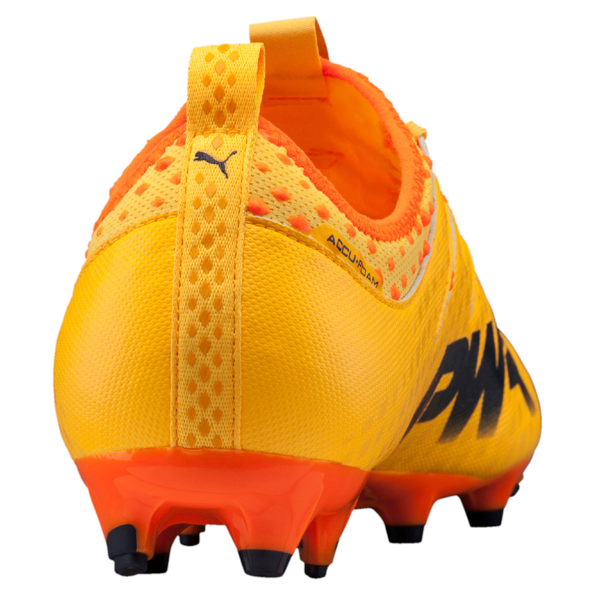 evopower vigor 2 fg
