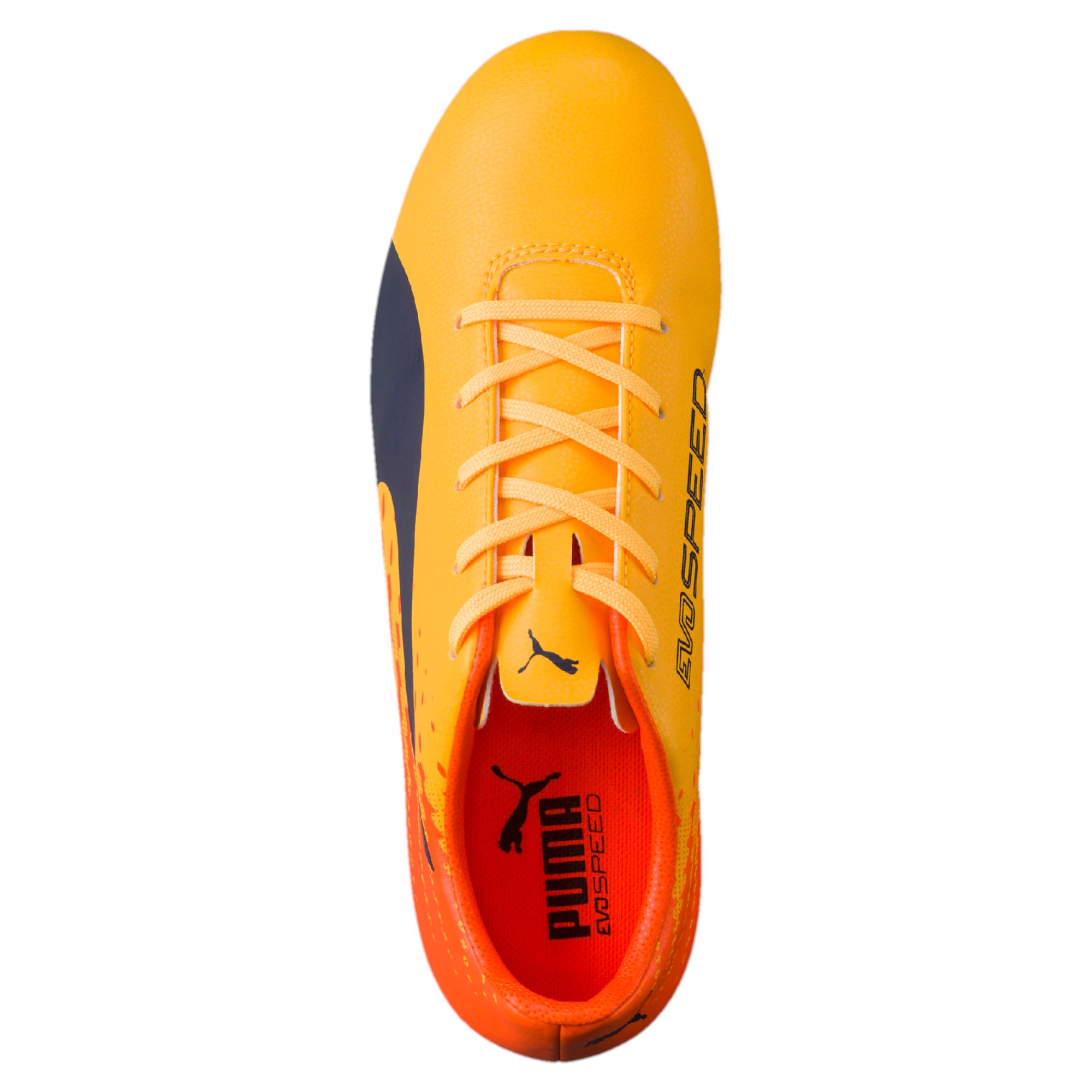 puma evospeed 17