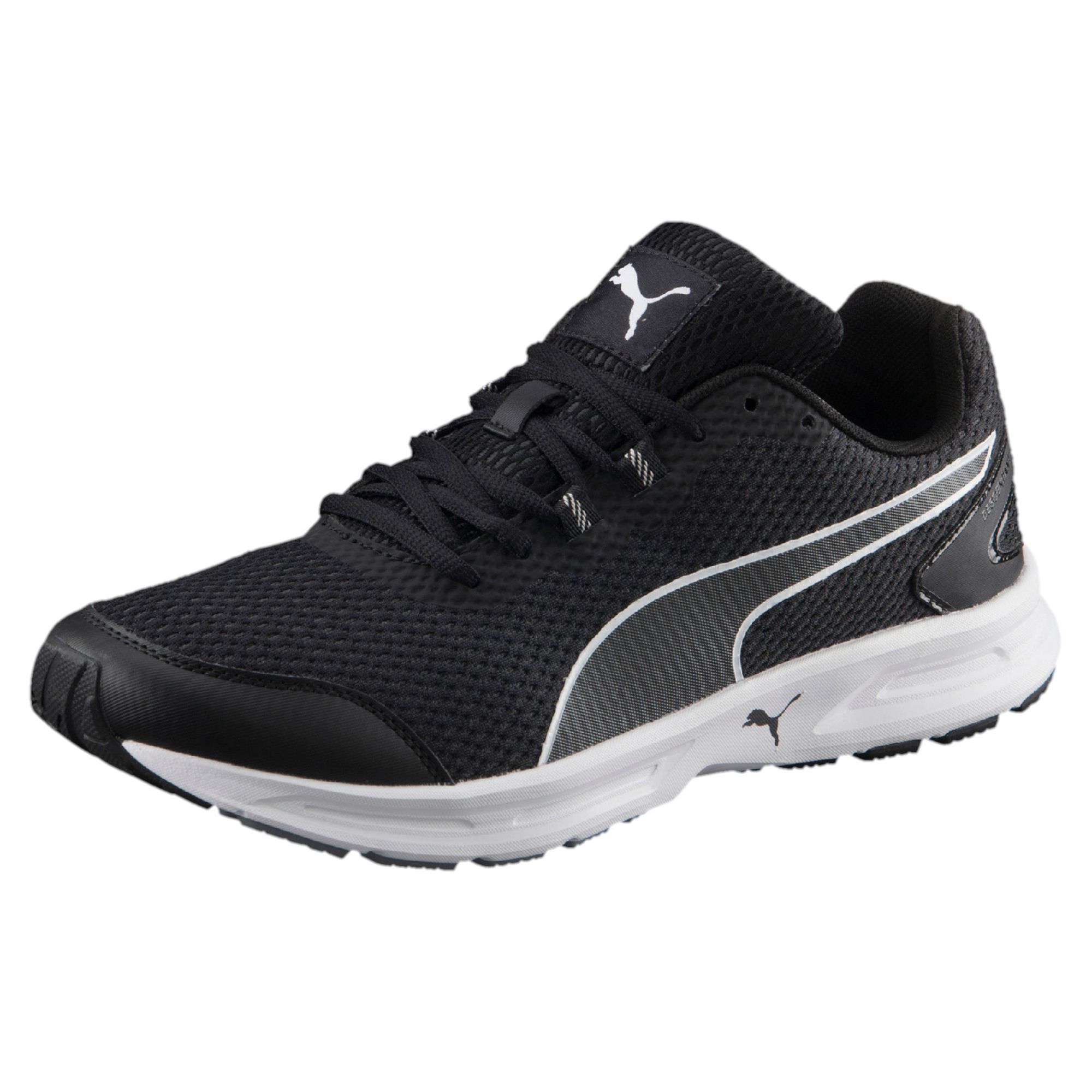 puma descendant puma descendant