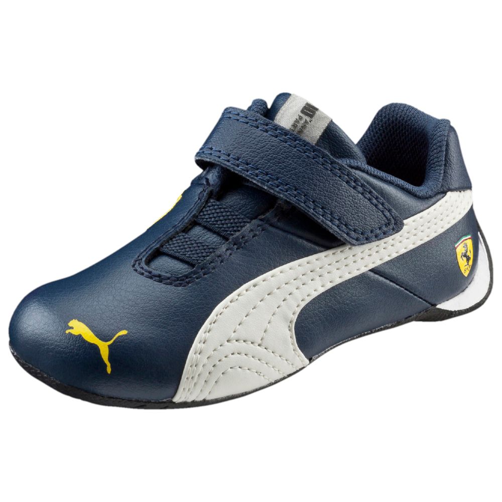 puma facts for kids