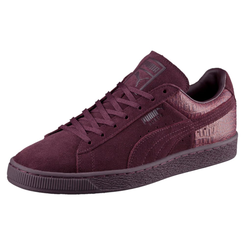 guy pumas