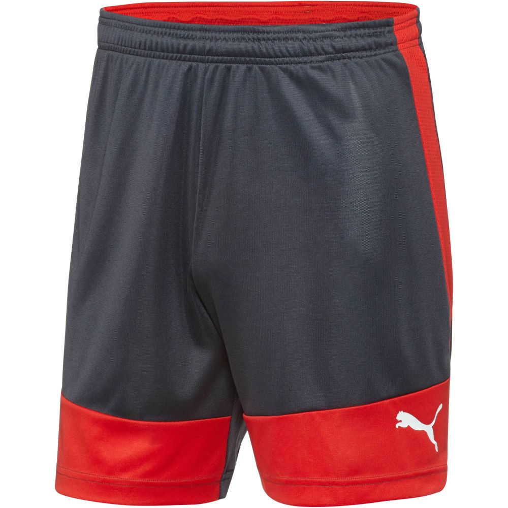PUMA evoTRG Soccer Shorts eBay
