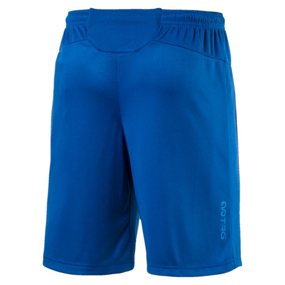 puma training shorts