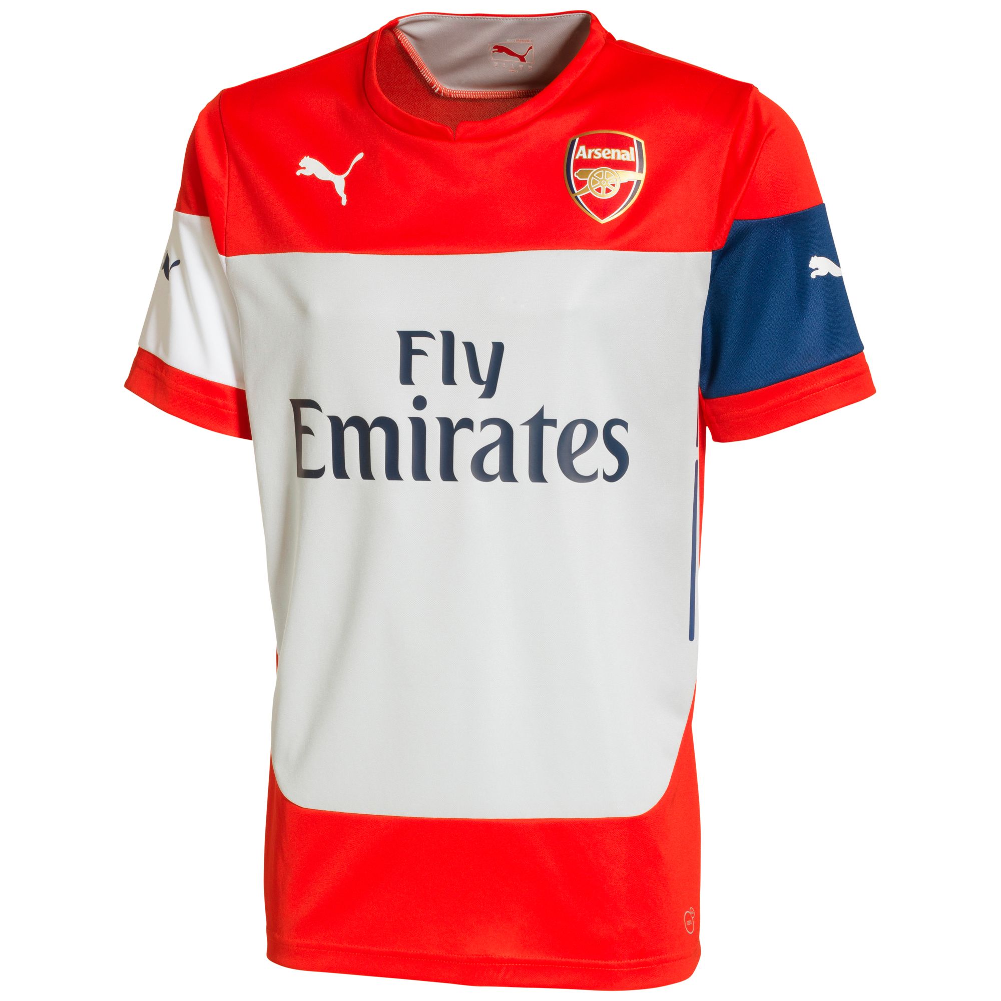 Image of AFC Training Jersey