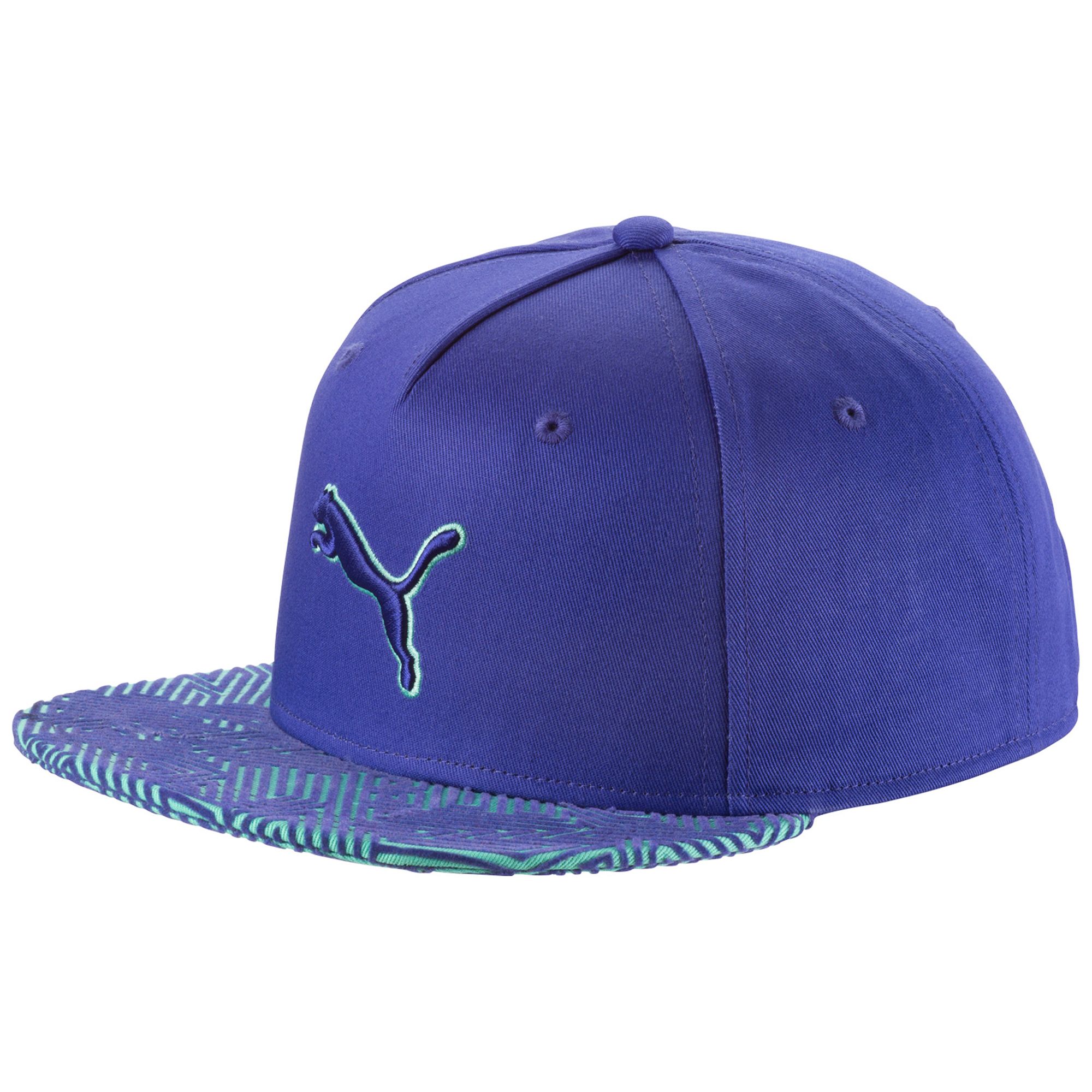 Image of Cat Flat Brim Cap