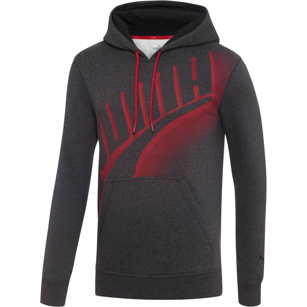 full form puma