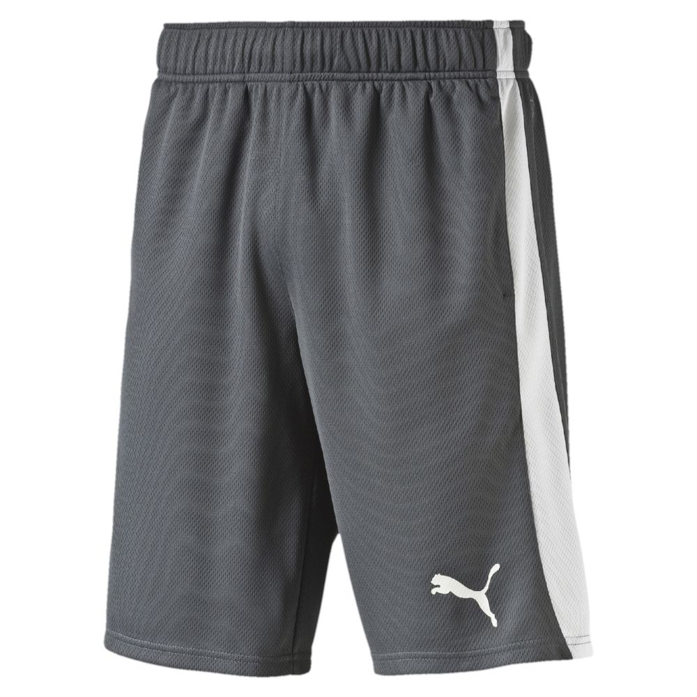 puma fleece shorts