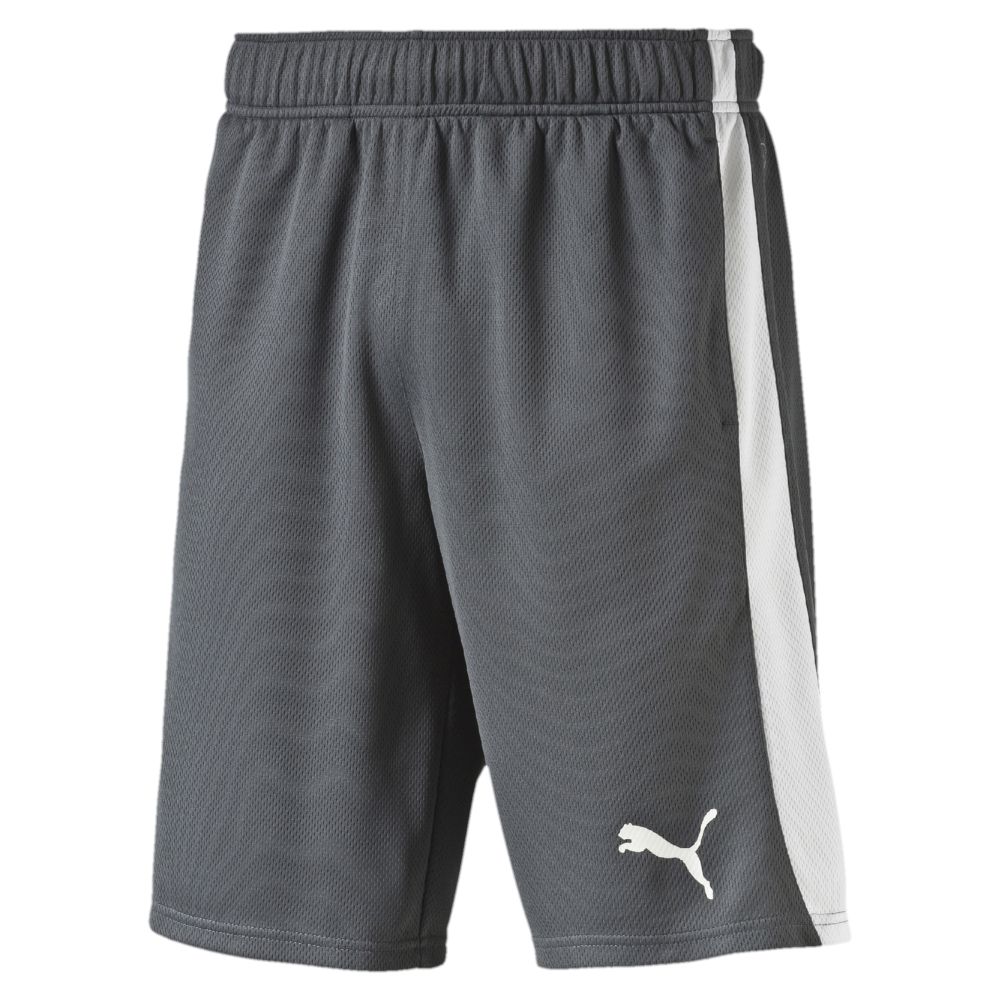 puma basketball shorts