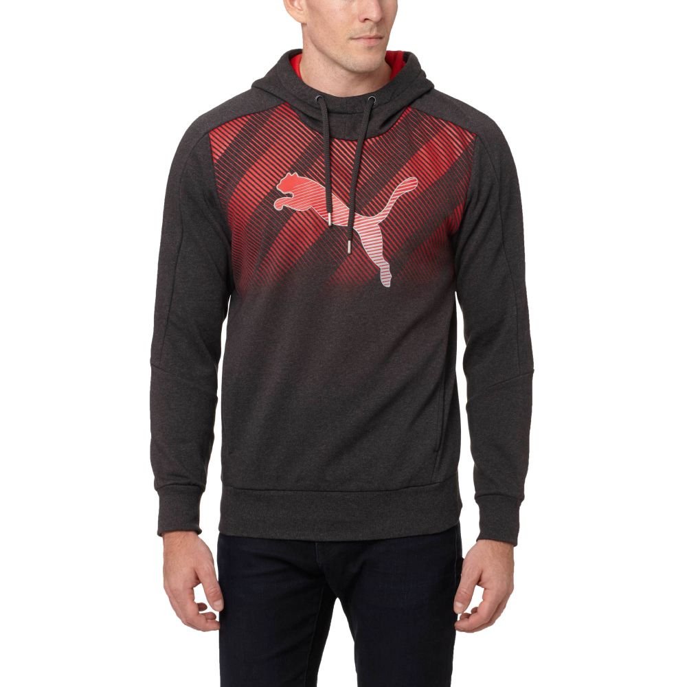 PUMA Iconic Hoodie | eBay