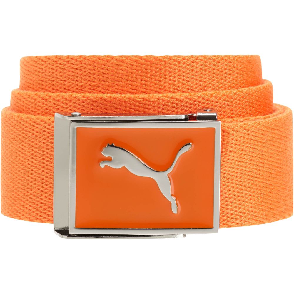 puma web belt