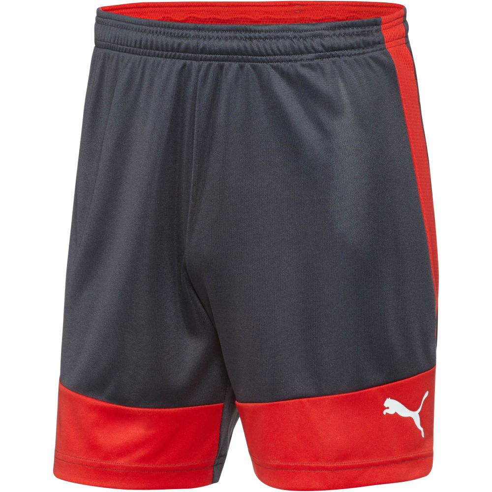 PUMA evoTRG Soccer Shorts | eBay