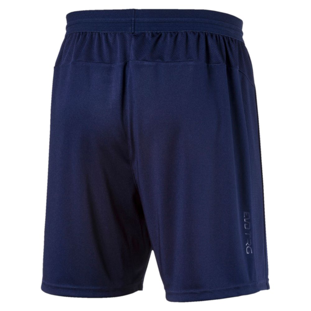 PUMA evoTRG Soccer Training Shorts | eBay